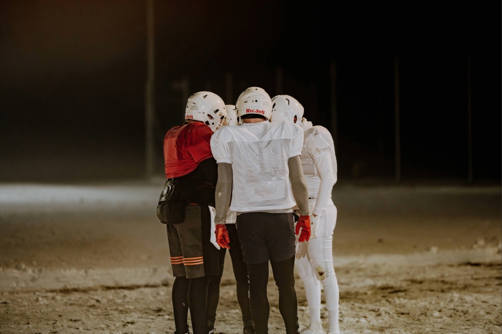 Galeriebild 9 – Beschreibung